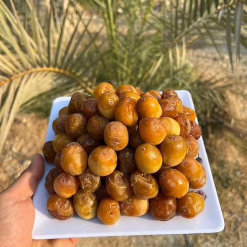 تصویر 1 از قیمت خرید خرمای برحی با فروش عمده